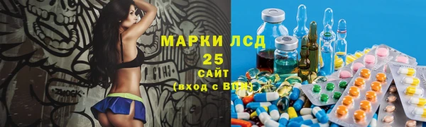 крисы Алексин