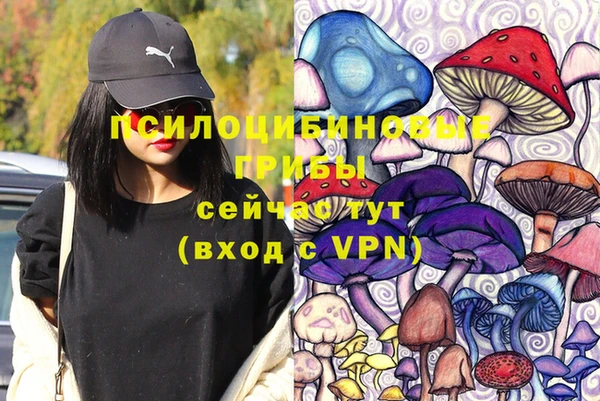 гидропоника Алексеевка