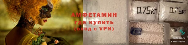 дживик Няндома