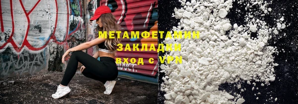 дживик Няндома