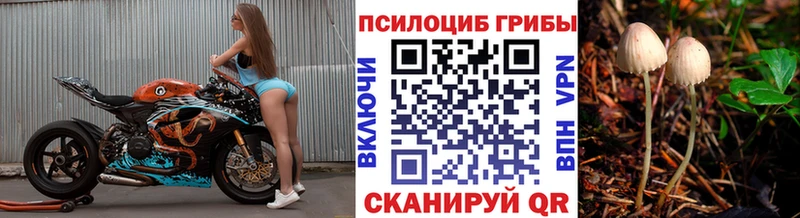 Галлюциногенные грибы ЛСД  omg ссылка  Спасск  как найти наркотики 